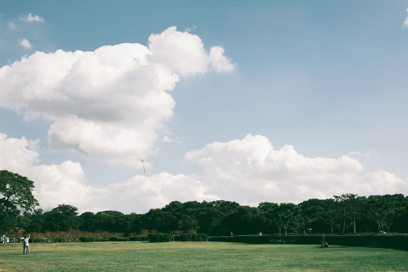 land, cloud - sky, real people, day, scenics - nature, outdoors, lake, 5K, men, beauty in nature, water, tree, tranquility, gyeongju, nature, sky, trees