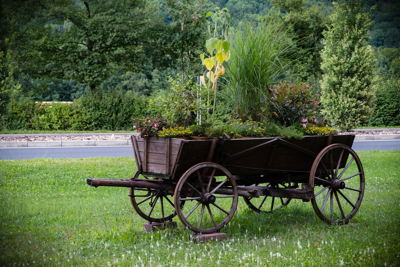 old, 5K, tranquility, horse cart, decoration, historically, no people, grass, transport, green color, mode of transportation, beauty in nature, agriculture