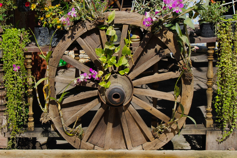 weathered, close-up, decoration, old, architecture, handmade, worn, western, wood, potted plant, growth, cart wheel, decorative, wooden, green color, hub