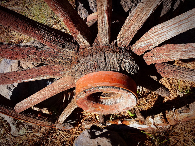 deterioration, wood - material, wagon, carriage, run-down, Old, damaged, one animal, circle, country, metal, day, Antique, weathered, Western, wheel, brown