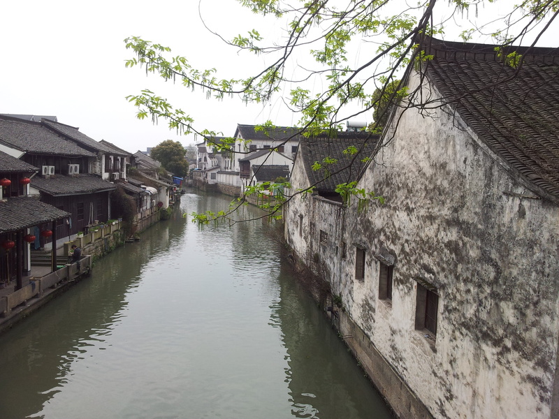 tree, house, Jiangnan, plant, sky, Quiet, no people, residential district, 2K, architecture, green, building exterior, canal, building, nature, built structure
