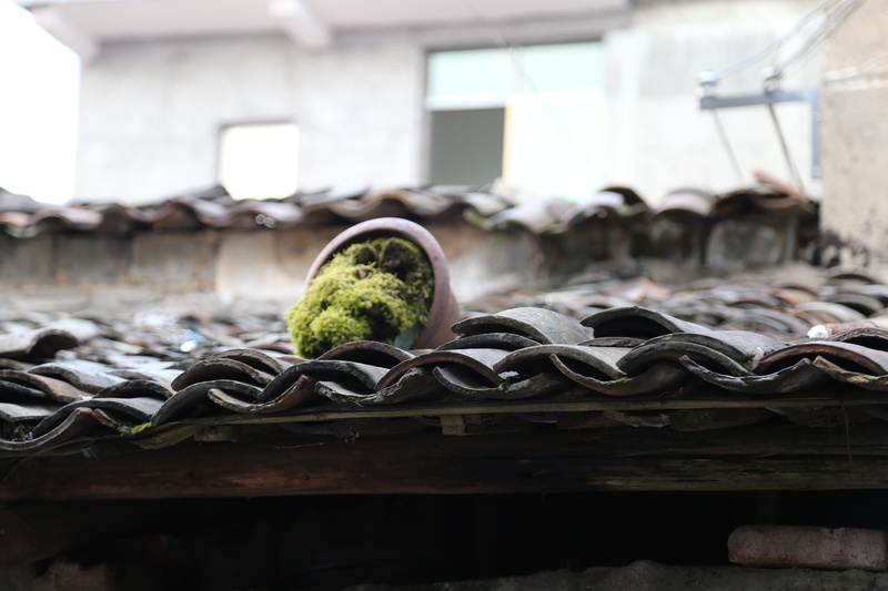 architecture, 5K, healthy eating, houses, building, jiangnan, built structure, food and drink, no people, the ancient town, black color, shoe, pair, close-up