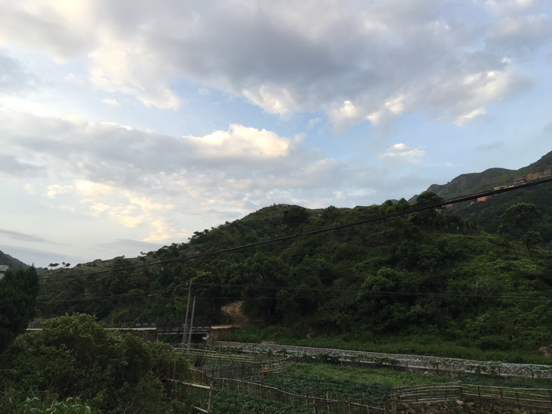 green color, tranquil scene, cloud - sky, growth, day, idyllic, environment, clouds, plant, non-urban scene, land, sky, tree, beauty in nature, nature