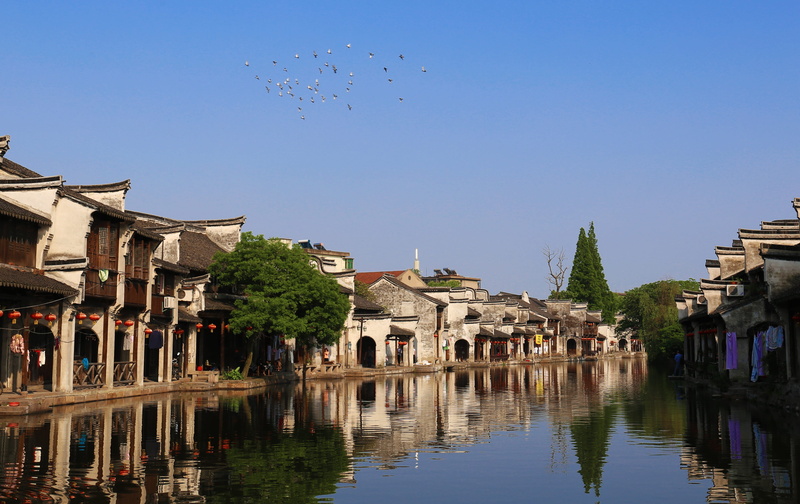 group of animals, canal, outdoors, built structure, water, small town, Ancient, nanxun, large group of animals, bird, city, day, flock of birds, clear sky