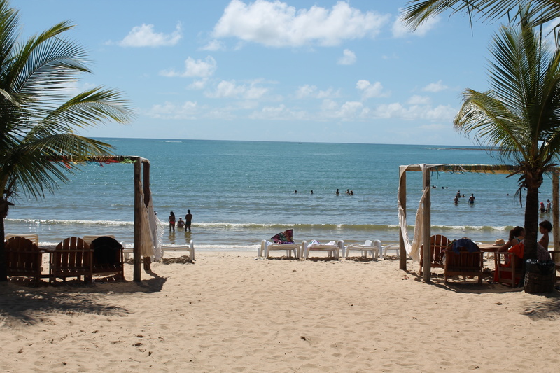 horizon, tree, day, palm, brazil, land, sand, outdoors, sea, sky, 4K, water, brasileiro, beach, palm tree, porto seguro, scenics - nature, horizon over water