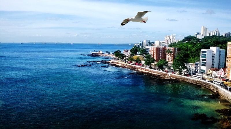 sky, tourism, beira mar, horizon over water, buildings, mid-air, flying, litoral, architecture, built structure, 1080P, salvador, day, mar, aerial, animal wildlife