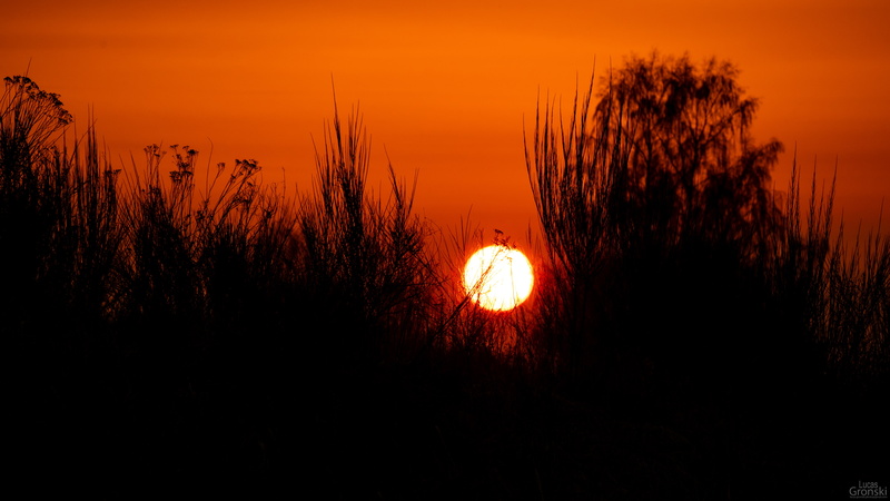 tranquility, sun, sunset, tree, shadow, orange, photography, silhouette, dark, romantic sky, tranquil scene, no people, scenics - nature, plant, sky, beauty in nature