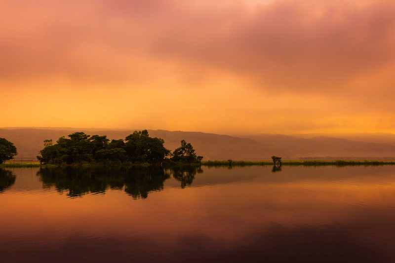 golden hour, tree, mood, cloud - sky, sunlight, plant, 4K, tranquil scene, orange color, sylhet, sunset, trees, nature, no people, landscape, bangladesh