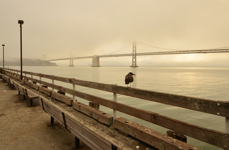 beauty in nature, 4K, bridge - man made structure, engineering, travel, bay, California USA, promenade, outdoors, water, sea, sky, connection, San Francisco