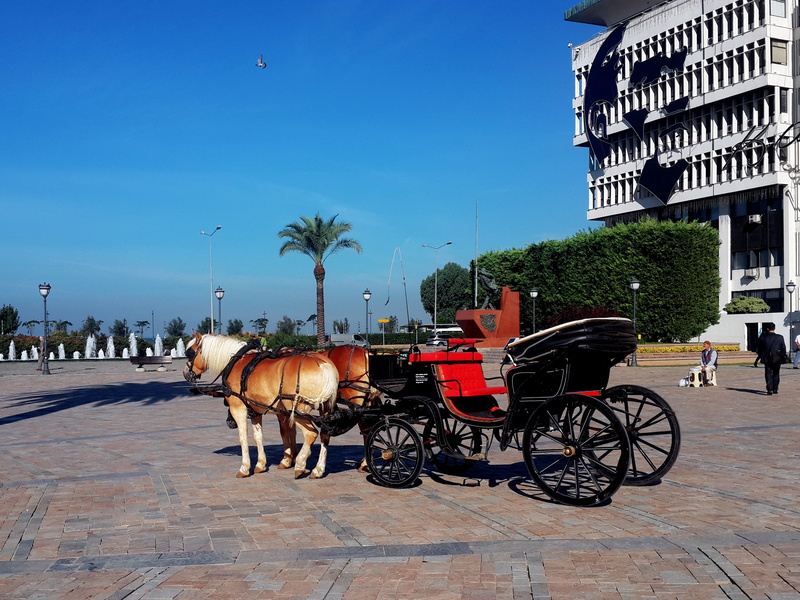 urban Scene, travel, famous Place, izmir, mammal, square, tourism, vertebrate, built structure, domestic, outdoors, horse cart, animal wildlife, mansion