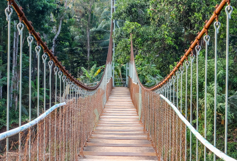 rope bridge, bridge - man made structure, beautiful, footbridge, sky, railing, tourism, green, nature, land, 4K, built structure, transportation, park