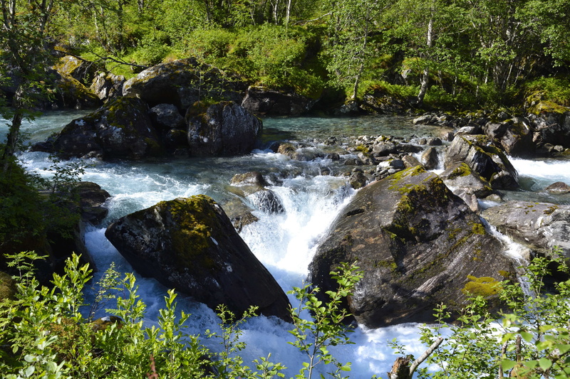 growth, trollstigen, long exposure, no people, flowing water, flowing, day, tree, rock - object, rock, beauty in nature, scenics - nature, nature, outdoors