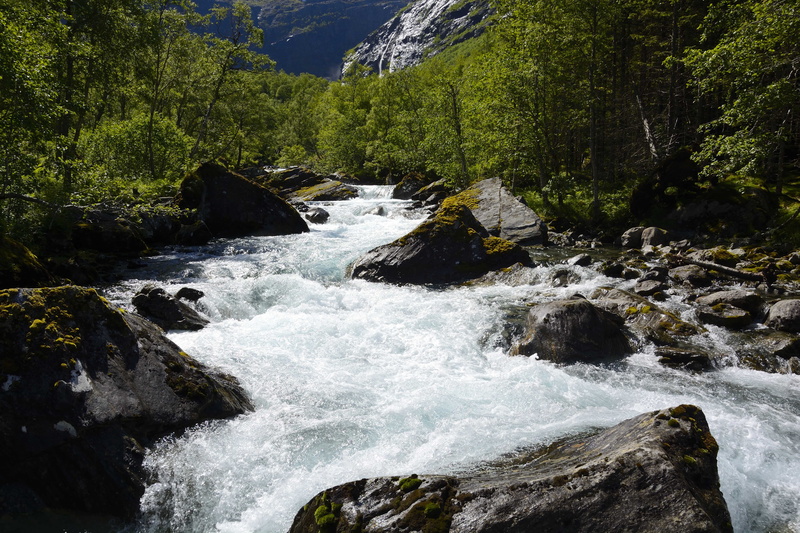 no people, motion, flowing, day, river, scenics - nature, power in nature, 5K, rock - object, plant, beauty in nature, flowing water, nature, non-urban scene