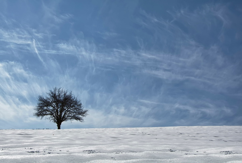 ethno-geographical region, Asia, the sky, Kurdistan, 1080P, snow, tree