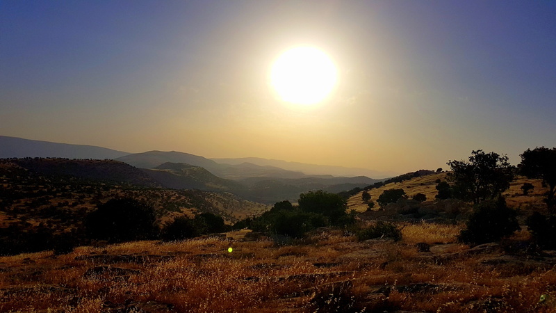 plant, outdoors, nature, scenics - nature, landscape, 4K, sun, mountain range, idyllic, environment, lens flare, sunlight, tranquil scene, bright, tranquility