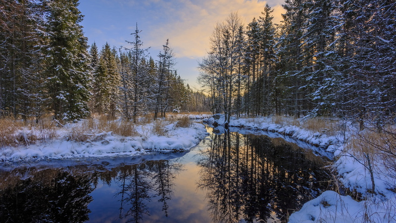 snow, 4K, reflection, river, winter, forest, winter landscape, wintertime, morning, wilderness