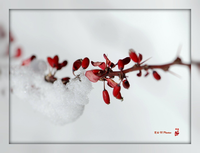 snow, 3d and abstract, delicate, 1080P, winter, white, wintertime, time