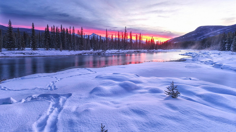 coniferous tree, tree, frozen, mountain, land, plant, scenics - nature, sky, wintertime, nature, winter, landscape, morning, winter landscape, cold temperature