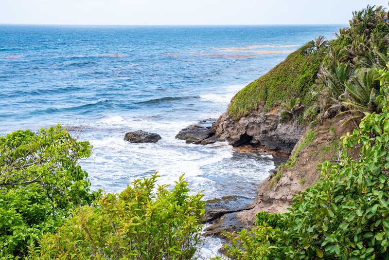 water, 5K, rock, nature, rocky coastline, tranquility, tranquil scene, rock - object, non-urban scene, sea, plant, outdoors, beach, scenics - nature, idyllic
