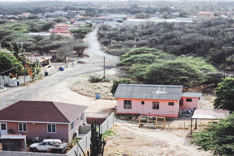 oranjestad, motion, residential district, incidental people, rail transportation, plants, 5K, architecture, island, nature, house, plant, aruba, travel