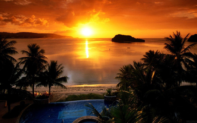 sky, outdoors, sunlight, horizon, landscape, horizon over water, palm trees, swimming pool, idyllic, tranquil scene, 1080P, tranquility, water, beach