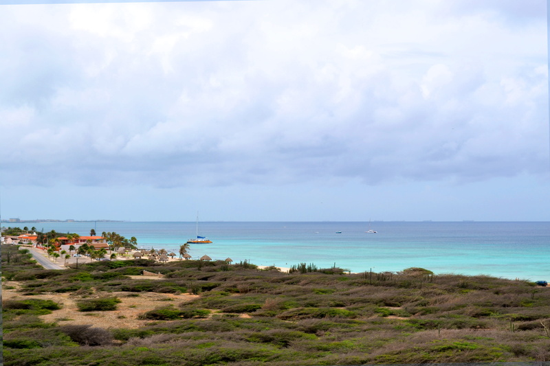 4K, idyllic, summer, plant, sky, day, mar, no people, nature, beauty in nature, aruba, holidays, caribbean, island, water, beach, non-urban scene, tranquil scene