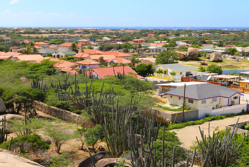 high angle view, tree, plant, cacti, vacation, aruba, nature, building exterior, green color, architecture, water, day, residential district, house, landscape
