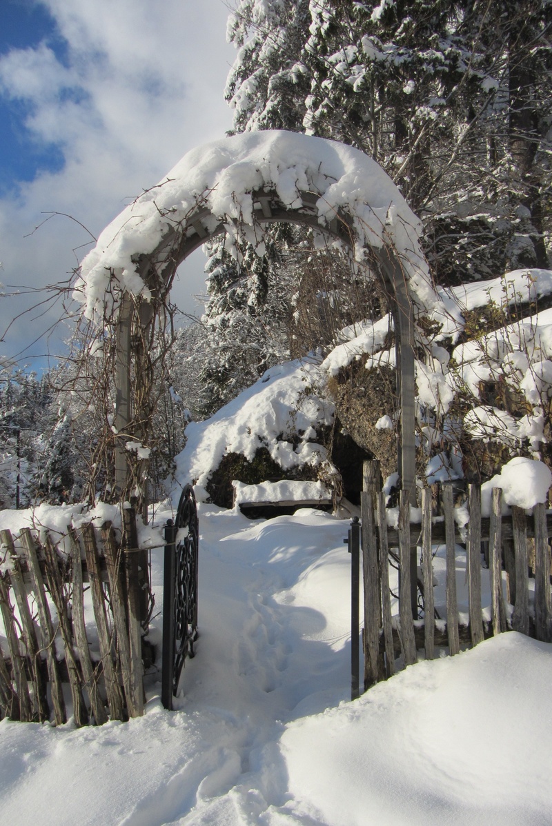 snowcapped mountain, weggis, plant, input, tranquility, ice, beauty in nature, garden fence, no people, outdoors, wooden, day, fence, brown, environment