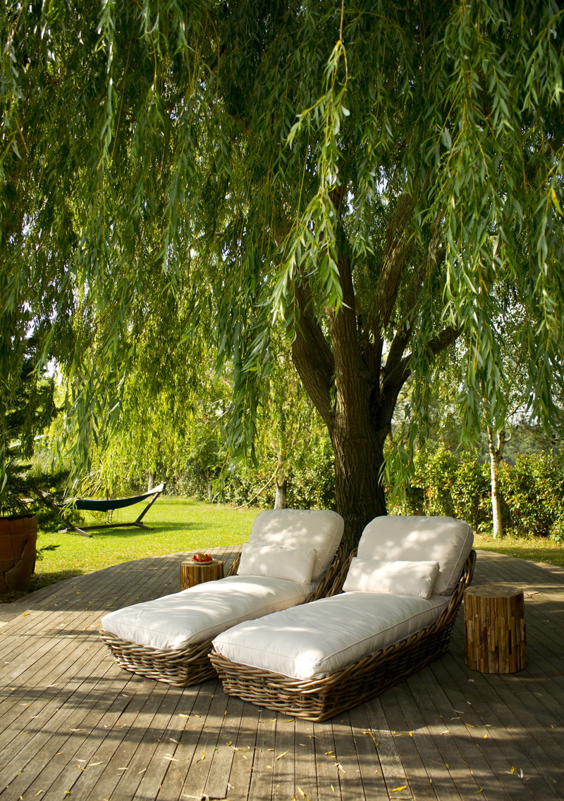 tree, swimming pool, 5K, day, sunbathing, wood - material, decor, pool, summer, front or back yard, park, tree trunk, sunbeds, sunlight, seat, peace, no people