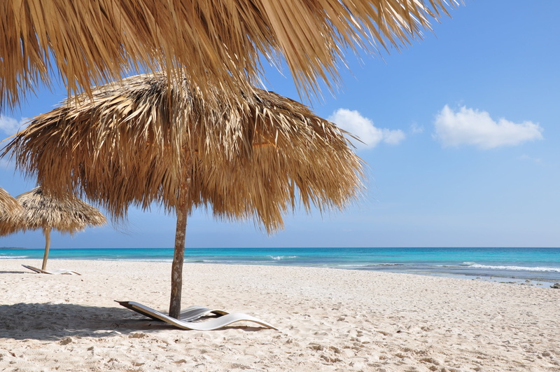 beauty in nature, sunbeds, sand, outdoors, tranquility, 2K, day, no people, tropical climate, Caribbean, coconut palm tree, beach, palm, sea, water, palm leaf