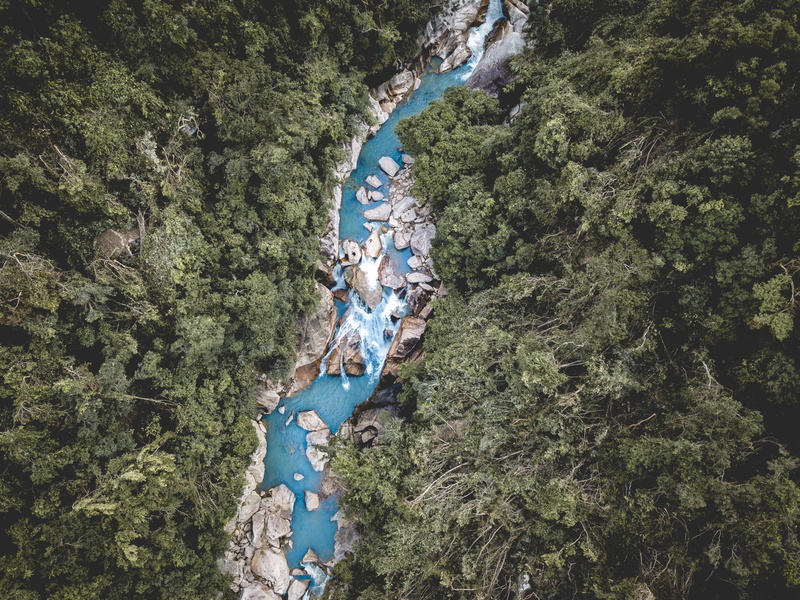 jungle, 4K, plant, day, scenics - nature, view, leisure activity, rainforest, high angle view, grove, tree, aerial view, resort, s, scenery, hotel, eye