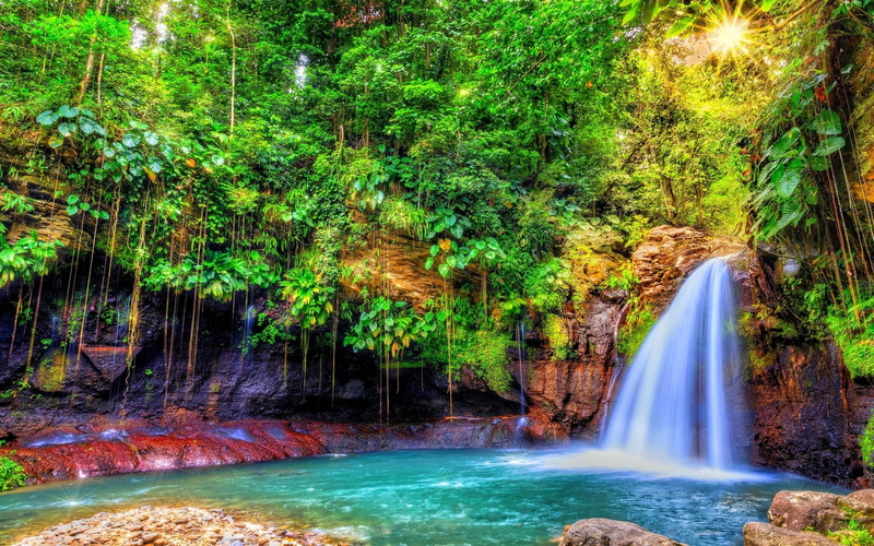 water, forest, scenics - nature, Guadeloupe, tropical, no people, tree, flowing water, outdoors, shrubs, island, motion, day, nature, rainforest, power in nature