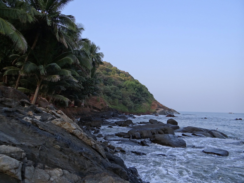 palms, rock - object, solid, plant, sky, ocean, coconut, idyllic, nature, beauty in nature, wave, beach, scenics - nature, 4K, seascape, india, arabian