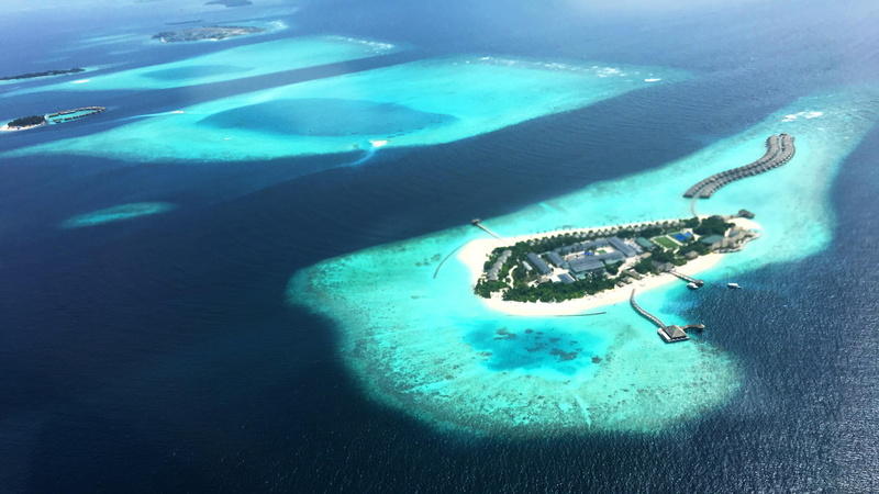 animal wildlife, aerial view, 4K, animal, arabian sea, invertebrate, island, sea, indian ocean, sea life, maldives, turquoise colored, hurawalhi, kuredu