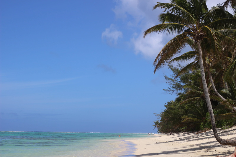 horizon, scenics - nature, plant, tranquil scene, nature, outdoors, water, cloud - sky, 5K, land, sky, rarotonga, tropical tree, tree, tranquility, blue