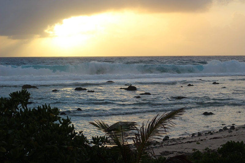 horizon, sky, rarotonga, nature, horizon over water, sunset, wave, waves, beach, tranquility, plant, land, no people, 5K, rocks, beauty in nature, sea