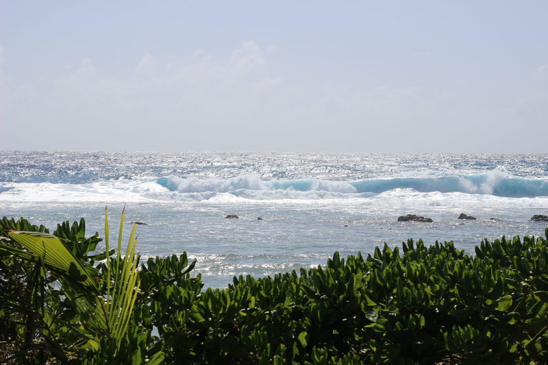 day, sea, wave, land, tranquility, scenics - nature, rarotonga, ocean, outdoors, tranquil scene, nature, horizon over water, beach, 5K, sky, plant, growth