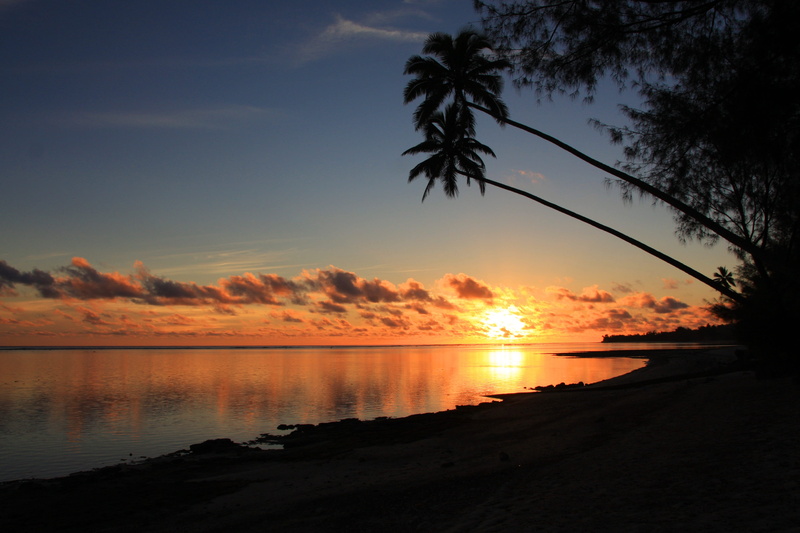 beauty in nature, cloud - sky, scenics - nature, nature, idyllic, beach, no people, rarotonga, 4K, tranquil scene, reflection, tree, orange color, sky
