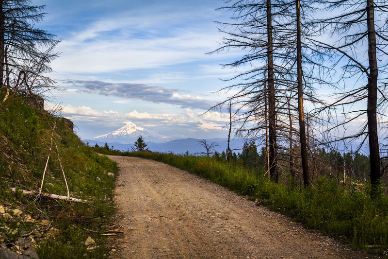 pacific nw, mt hood, tranquility, dirt road, logging, electricity, mount hood, cloud - sky, outdoors, logging road, sky, nature, landscape, dirt, transportation