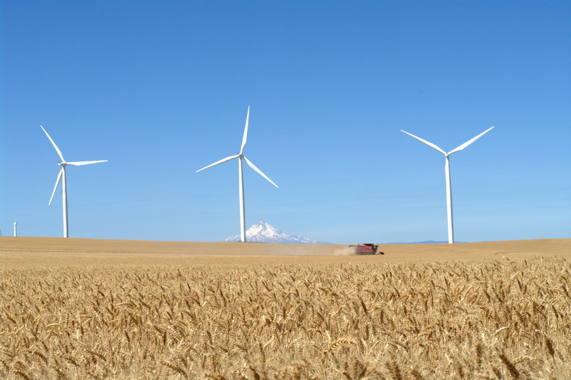 environmental Conservation, wind Power, farm, 1080P, Mt. Hood, field, brown field, biglow canyon  wind farm, innovation, Windmill, fuel and Power Generation