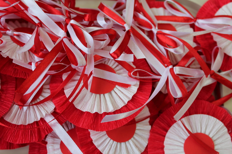 white color, national symbols, full frame, independence, repetition, creativity, festival, decoration, bows, pattern, 5K, day, ribbon, independence day