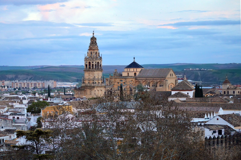 old, mosque, centre, spire, skyline, traditional, religion, old town, town, the past, cold temperature, religious, mezquita, unesco, historical, tree, city