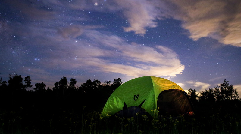 plant, forest, tranquility, star - space, beauty in nature, green, cloud, ground, nature, galaxy, hill, cloud - sky, wilderness, environment, night, skies
