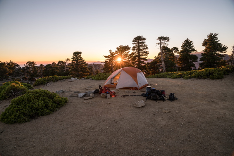 environment, beige, beauty in nature, sun, lifestyles, gear, tree, sunset, leisure activity, outdoors, land, hour, people, tranquil scene, field, 8K, relaxation