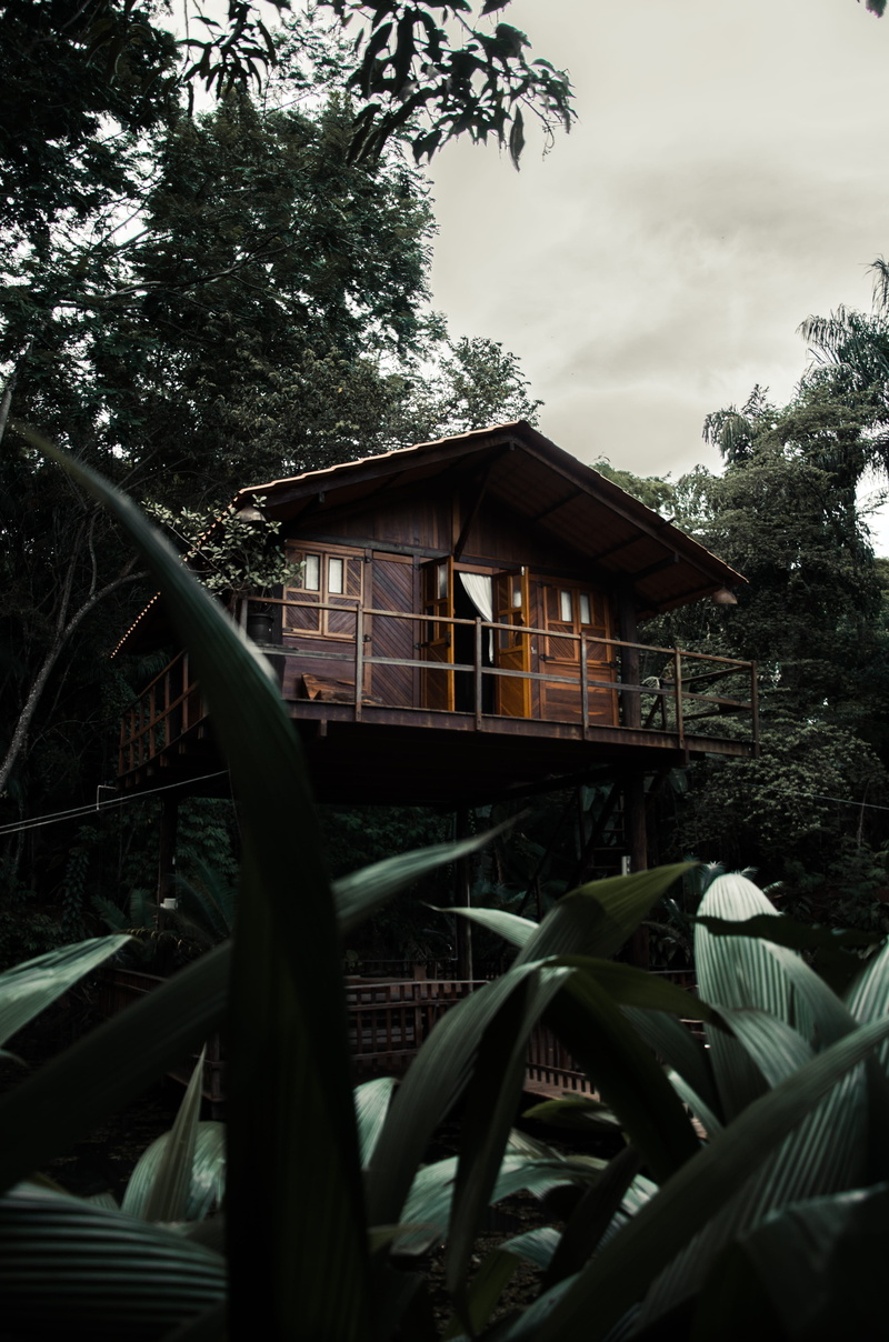 cabin, structure, wood, landscape, glass, tree, building, day, outdoors, no people, land, transportation, gray, nature background, architecture, building exterior