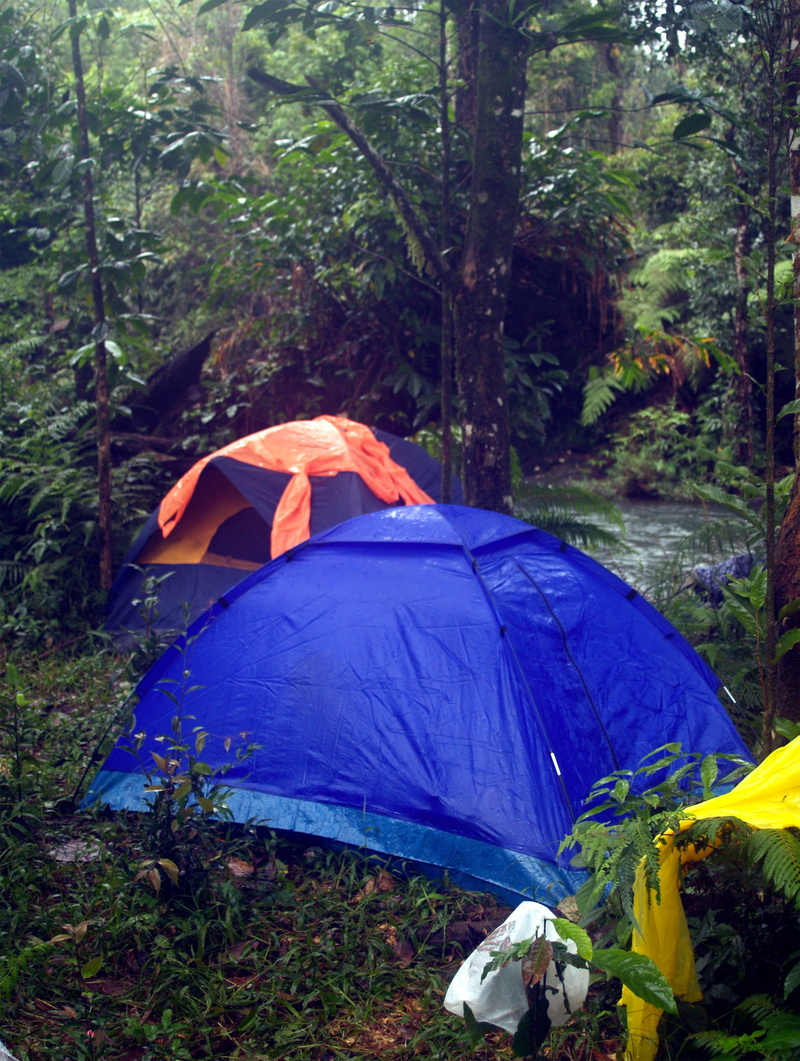 grass, 2K, people, environment, growth, outdoors, dome, camp, wilderness, blue, land, protection, camping, green, forest, umbrella, jungle, relaxation