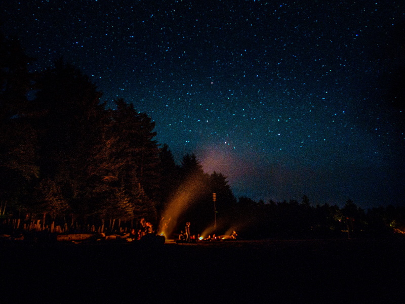 plant, outdoors, star - space, beauty in nature, architecture, nature, milky way, people, stars, sky, astronomy, tree, galaxy, idyllic, no people, dark