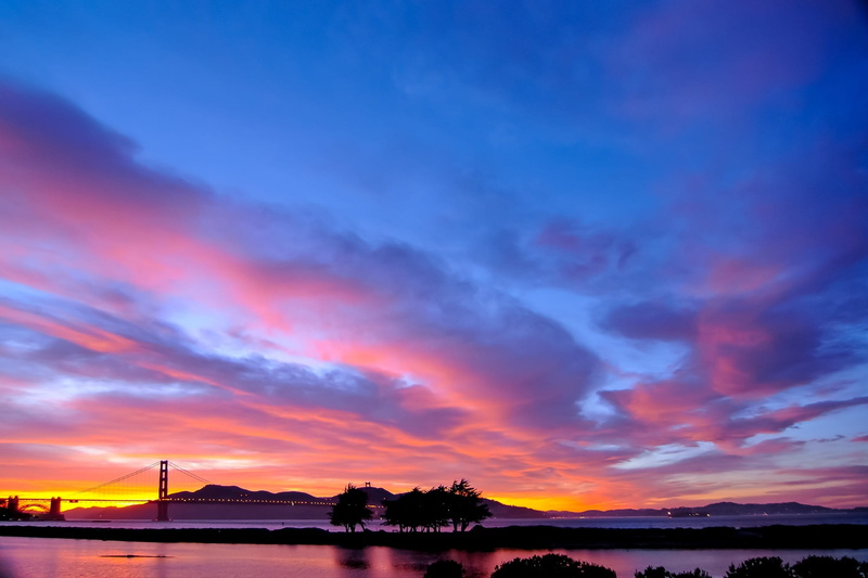 bridge, trees, summer, suspension, dawn, nature, scenics - nature, golden gate bridge, bay, no people, golden gate national recreation, built structure