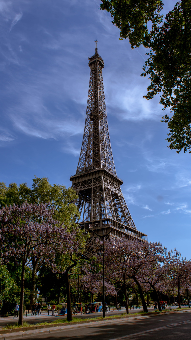 blue, metal, tall - high, architecture, plant, frankreich, no people, old, the past, steel, travel, france, faubourg saint-germain, tourism, famous, travel destinations
