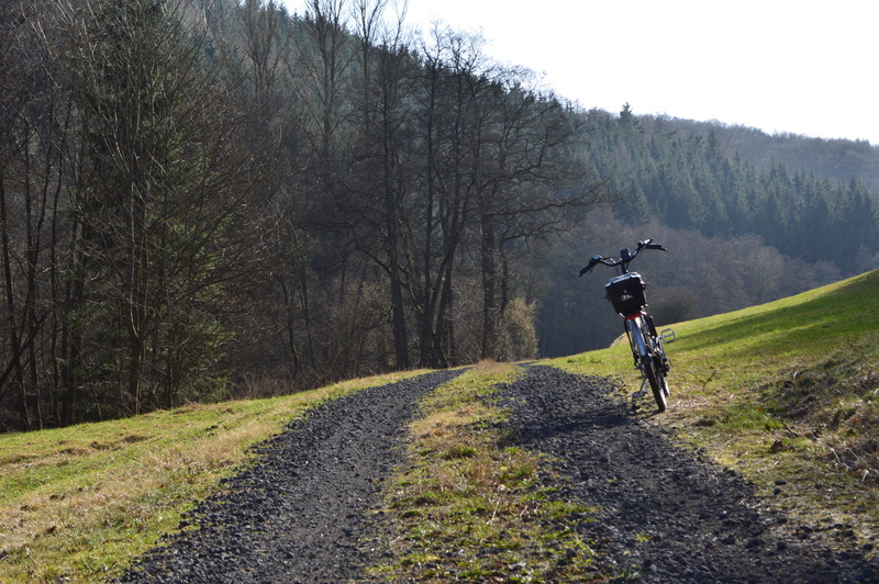 full length, eifel, outdoors, lane, more, leisure activity, one person, transportation, landscape, 5K, bicycle tour, plant, tree, men, non-urban scene